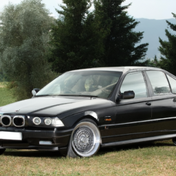 download BMW 525I E34 workshop manual