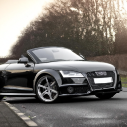 download Audi TTS Roadster workshop manual