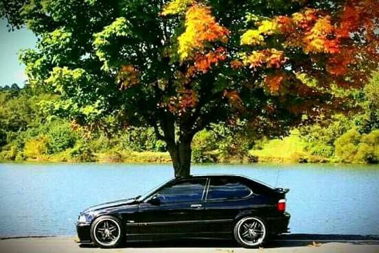 download BMW 318i workshop manual