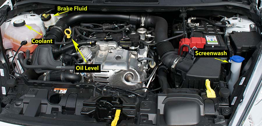 download Ford Fiesta in workshop manual