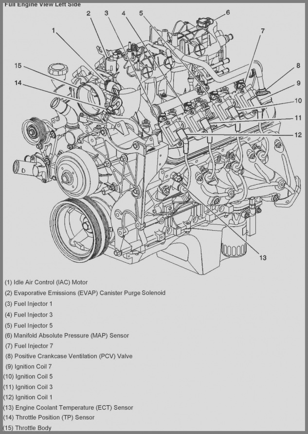 download ISUZU TF GASOLINE Engine workshop manual