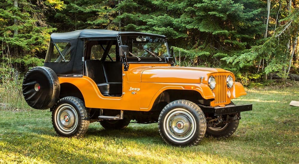 download Jeep CJ5 Renegade able workshop manual