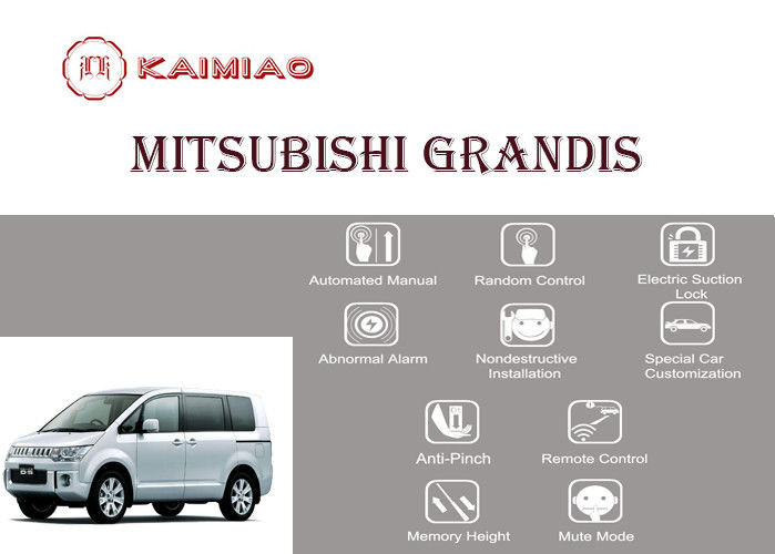 download Mitsubishi Grandis  able workshop manual