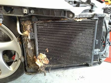 download Porsche 993 911 Carrera workshop manual