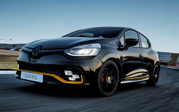 download Renault Clio workshop manual