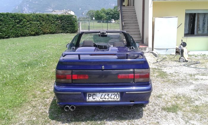 download Renault R19 workshop manual