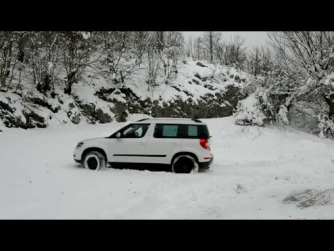 download SKODA YETI workshop manual