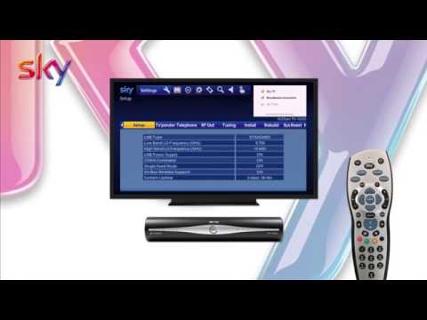 download SKY workshop manual